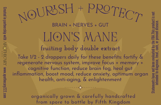 Nourish + Protect Lion's Mane Tincture