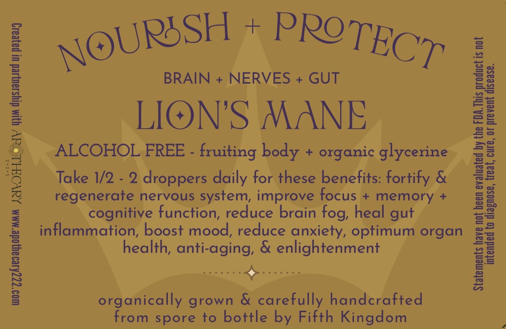 Nourish + Protect Lion's Mane Glycerite