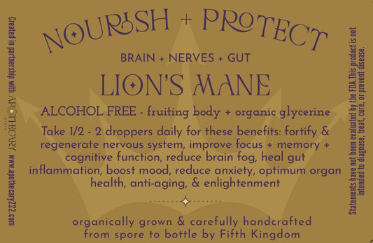 Nourish + Protect Lion's Mane Glycerite